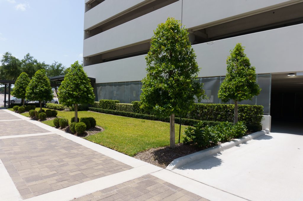 Multiple floor area for parking